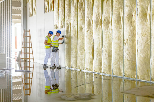 Insulation Inspection Services in Munsey Park, NY